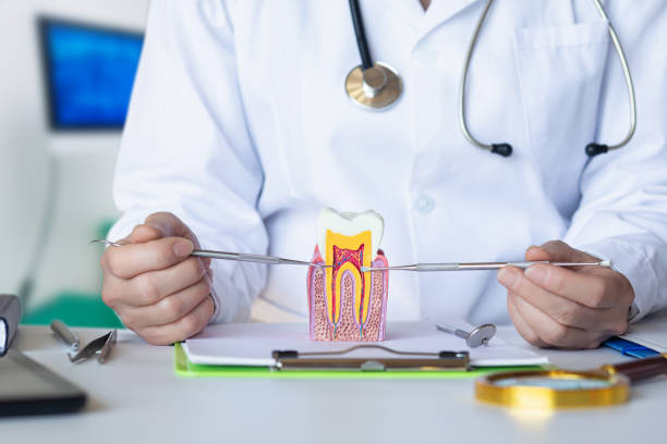 Best Emergency Dentist for Lost Fillings or Crowns in Long Valley, NJ